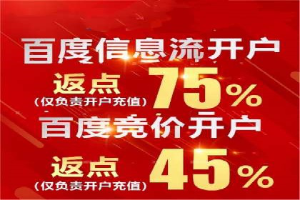 成功案例揭秘：百度竞价账户托管的运营之道